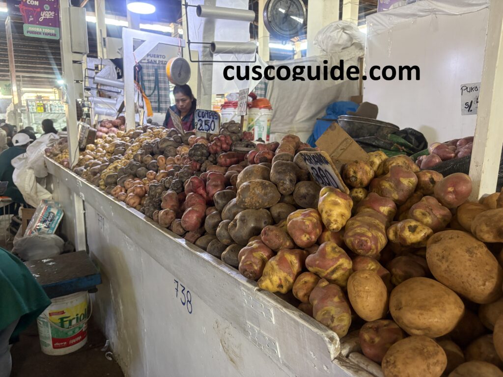 Colorful display of Andean potatoes at San Pedro Market in Cusco, showing traditional Peruvian produce varieties